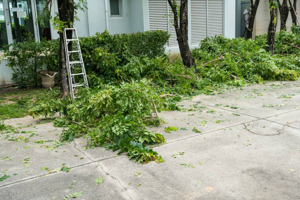 Best Pest Control for Lawns  in Benton, TN